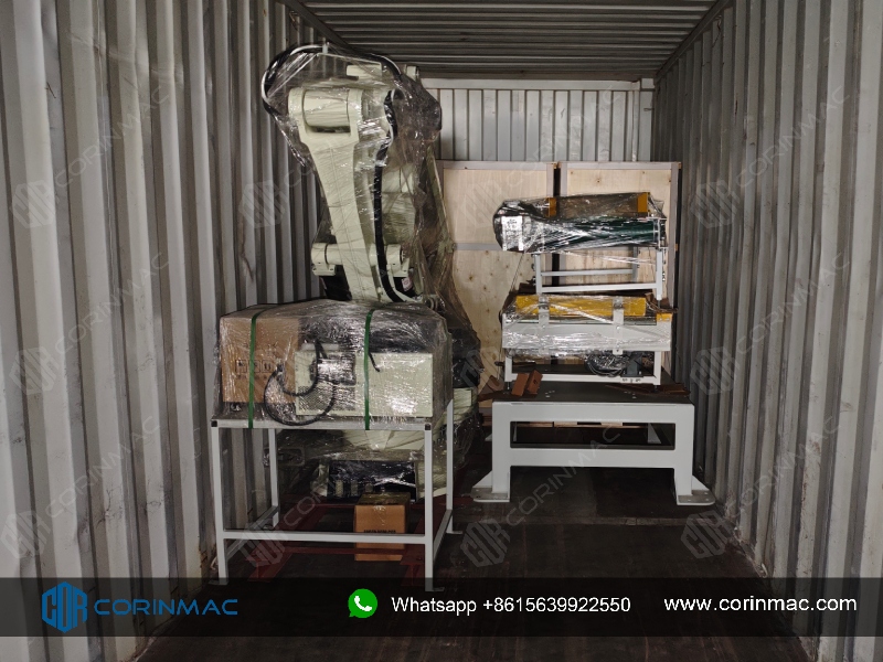 Packing and Palletizing Line was Delivered to Russia